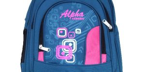 School Bag