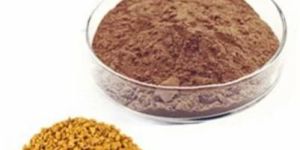 Fenugreek Extract Powder