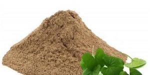 Gotu Kola Extract Powder