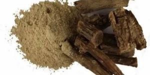 Guduchi Extract Powder