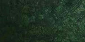 Dark Green Marble Slab