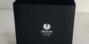 Disposable Polypropylene Box