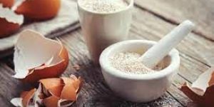 Egg Shell Powder