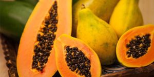 Fresh Papaya