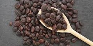 Tamarind Seeds