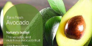 Organic Avocado
