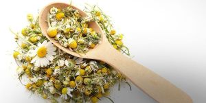 Chamomile Flower