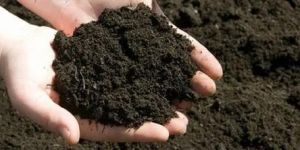 Organic Manure