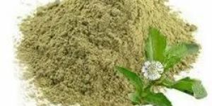 Bhringraj Powder