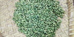 Green Cardamom 8mm
