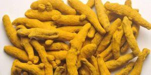 Turmeric Finger