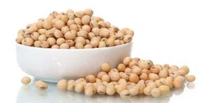 Soybean Seeds