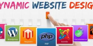 Dynamic Web Designing
