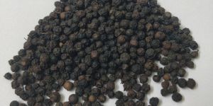 Organic Black Pepper