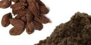 Black Cardamom Powder