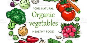 Organic Vegetables