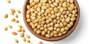 Coriander Seeds