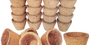 Satguru Cow Panchgavya Dhuni Cups