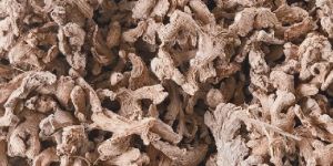Dry Ginger