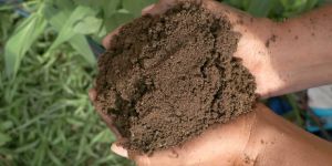 Organic Manure