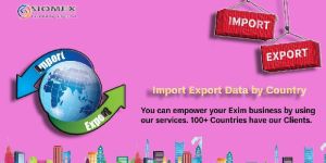 Export Import Data Service