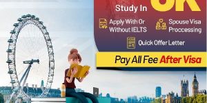 Study Visa Consultancy Services