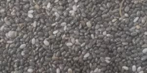 Chia Seeds