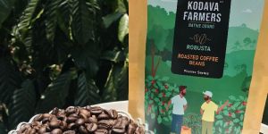 Robusta Roasted Coffee Beans