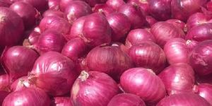 Onions