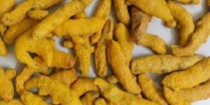 Turmeric Finger
