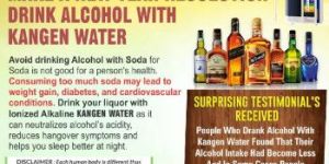 Alcohol Flyer