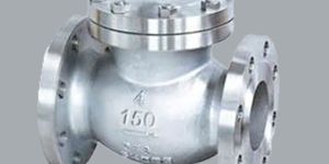 Duplex Steel Check Valves