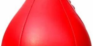 Speed Punching Ball