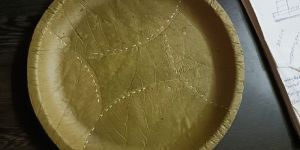 Sal Leaf Plate