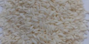 Sona Masoori Steam Rice