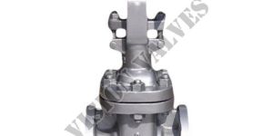 Bolted Bonnet Gate Valve