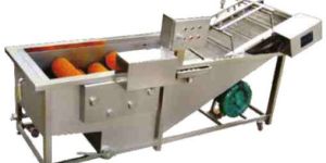 Fruit Washer Machine