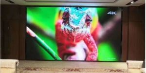 Branding Design Services