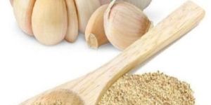Dried Garlic Powder