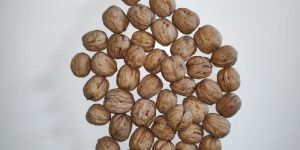 Walnuts