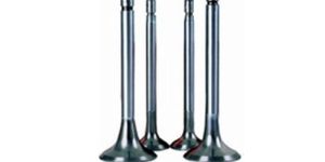 Engine Valves