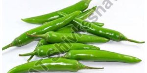 Fresh Hybrid Green Chilli