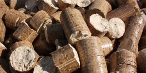 Biomass Briquettes