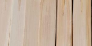 English Willow Cricket Bats