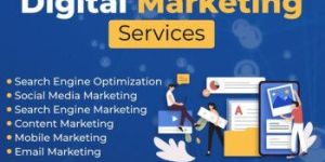 Seo Service