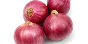 Fresh Red Onion