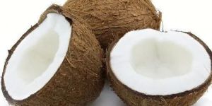 Semi Husked Coconut