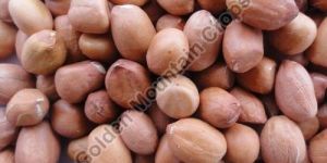 Groundnut Kernels