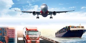 Trade and Custom Services