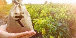 Land Banking Services